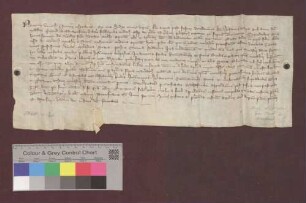 Die Richter des bischöflichen Hofs zu Straßburg vidimieren die Bulle Papst Benedikts XII. vom 26. Februar 1335.
