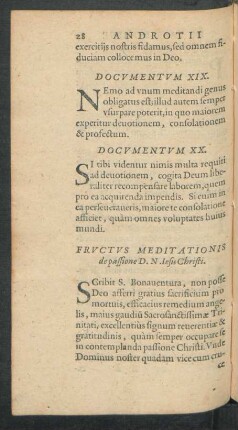 Fructus Meditationis de passione D. N. Iesu Christi.