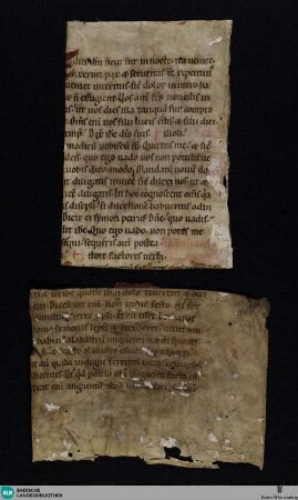 Lektionar, Fragment - Cod. St. Peter perg. 132