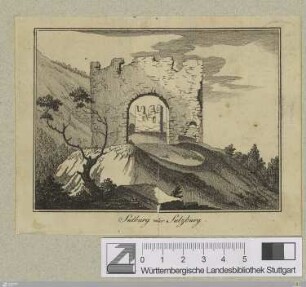 Sulburg oder Sulzburg