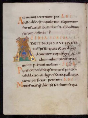 Zierinitiale / Randleisteninitiale mit Rankenbesatz: A(d sit nobis domine)