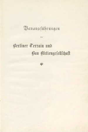 Bauausführungen der Berliner Terrain und Bau Aktiengesellschaft : Passage-Kaufhaus (Friedrichstraßen-Passage)