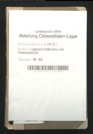 Salbuch der Vogtei Detmold von 1827, Bd. 1 (Duplikat)