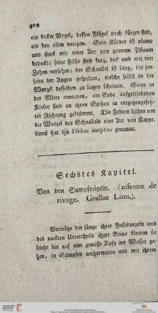 Sechstes Kapitel