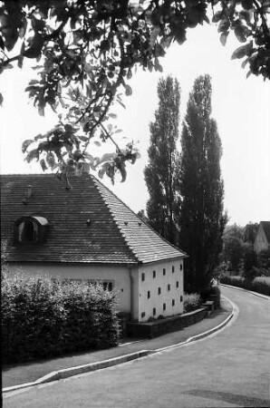 Freiburg i. Br.: Haus Sonnhalde, mit Pappeln