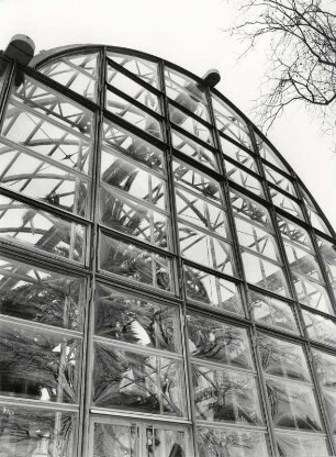 Insel Mainau, das neue Palmenhaus
