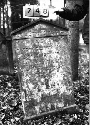 Grabstein 748 (Index: 99751612) Material: Sandstein Zustand: verwittert Maße HxBxT: 113x59x9 cm Beschreibung: Stele, giebelartiger Abschluß mit Verdachung: Grabstein 748