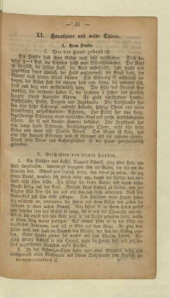 XI. Hausthiere und wilde Thiere