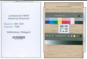 Entnazifizierung Hildegard Wefelnberg , geb. 14.05.1901 ()