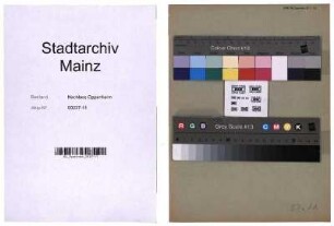 Mainzer Liedertafel und Damengesangverein: Korrespondenz, Protokolle