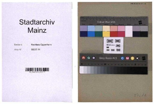 Mainzer Liedertafel und Damengesangverein: Korrespondenz, Protokolle
