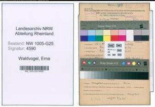 Entnazifizierung Erna Waldvogel , geb. 22.05.1900 (Filialleiterin)