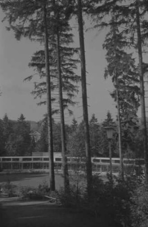 Braunlage: Teich im Kurpark, mit Konzerthalle