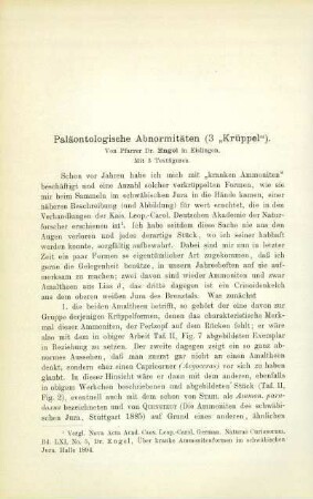 Paläontologische Abnormitäten (3 "Krüppel")
