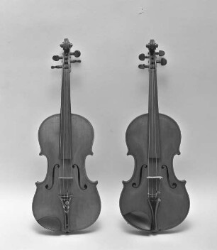 Violine