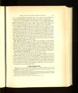 4. Schmuckgegenstände.