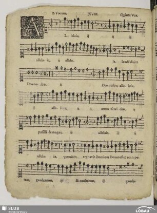 XVIII. Alleluia laudem dicite Deo nostro