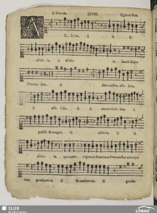 XVIII. Alleluia laudem dicite Deo nostro