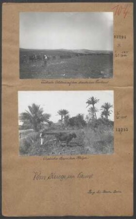 Arabischer Bauer beim Pflügen