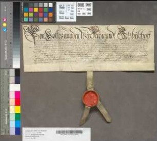 Lehnbrief vom Erbe Liphaus [im Kirchspiel Schöppingen].