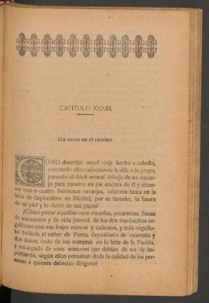 Capítulo XXXIX - Un susto en el camino