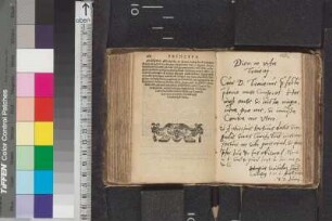 Crusius, Johannes; Blatt 168a
