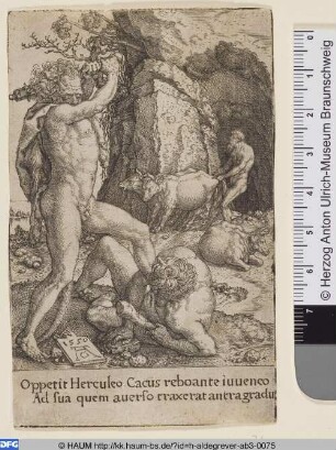 Herkules tötet Cacus