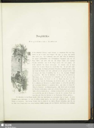 Bergschlösser