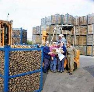 Arbeiter der LPG Oehna (Kr. Jüterbog) (Mitglieder der DSF) beim Lesen im Kartoffellager