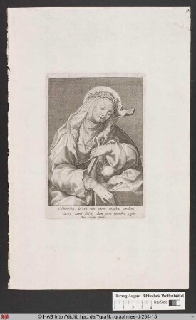 Die Jungfrau Maria mit Dornenkrone, Kruzifix und Totenschaädel.
