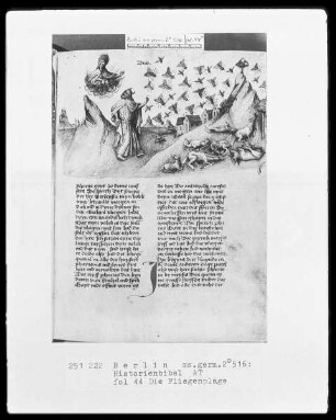 Historienbibel des Alten Testaments — Die Fliegenplage, Folio 44recto