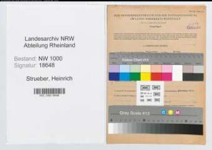 Entnazifizierung Heinrich Strueber, geb. 23.07.1908 (Konstrukteur)