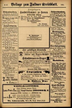 Zweite Ausgabe vom Samstag, den 08. Juni 1895.