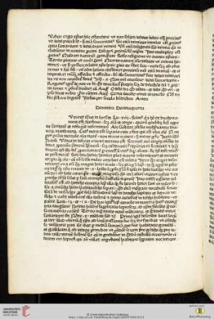 Dominica Decimaquarta