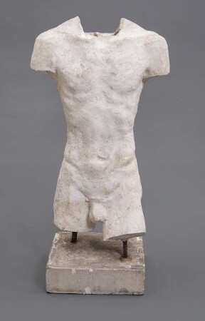 Torso Gabriel