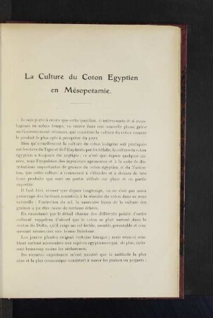 La Culture du Coton Egyptien en Mésopotamie.