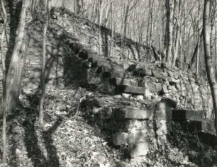 Radebeul, Augustusweg 110. Park der Villa "Jägerberg". Treppe und Mauern eines ehemaligen Weinberges