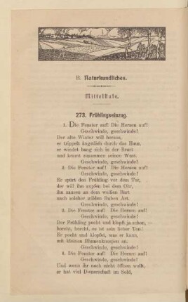 Mittelstufe