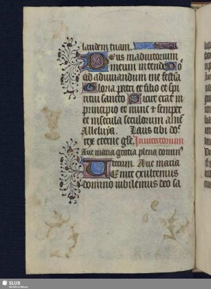 Invitatorium