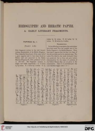 Hieroglyphic and hieratic papyri
