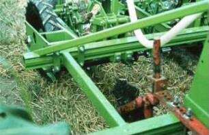Fotografie: Pflanztechnik, Zwischenfrucht, Pflanzlochsterne