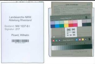 Entnazifizierung Wilhelm Picard , geb. 00.00.0000 (Saegeeinrichter)