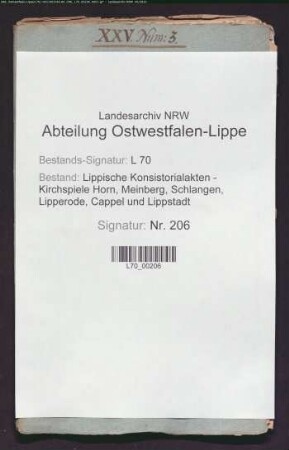 Kirchenvisitationen zu Cappel