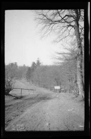 Bei Sainte Croix-aux-Mines (Dep. Haut-Rhin (?), Frankreich): Waldrand (Distanzaufnahme) ("Am Surmely-Kreuz (=Croix Surmely ?)")