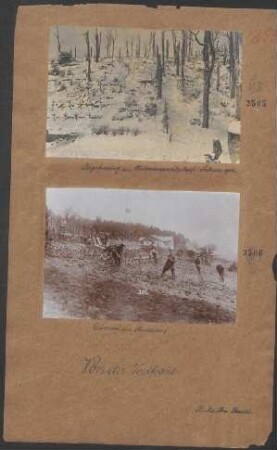 Jägerfriedhof am Hartmannsweilerkopf