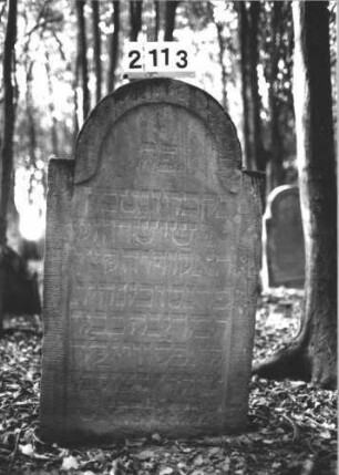 Grabstein 2113