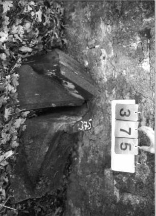 Grabstein 375 (Index: 100115728) Material: Sandstein Zustand: Fragment Beschreibung: Fragment: Grabstein 375