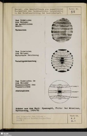 Tafel Nr. 35 Das Schwinden des Holzes - Verschiedene Darstellungsarten Blatt 1