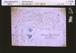 Freiberger Hospitalwald
