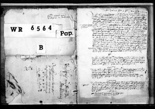 Bischof Matthias und der Propst von St. German und St. Moriz zu Speyer vollziehen in päpstlicher Vollmacht die Umwandlung des Klosters zu Backnang in ein weltliches Stift (Bruchstücke von Akten).